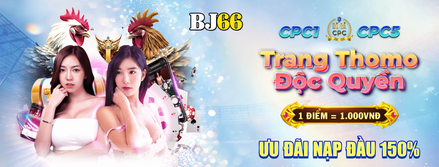BJ66 – Địa Chỉ Uy Tín Xem Đá Gà Thomo
