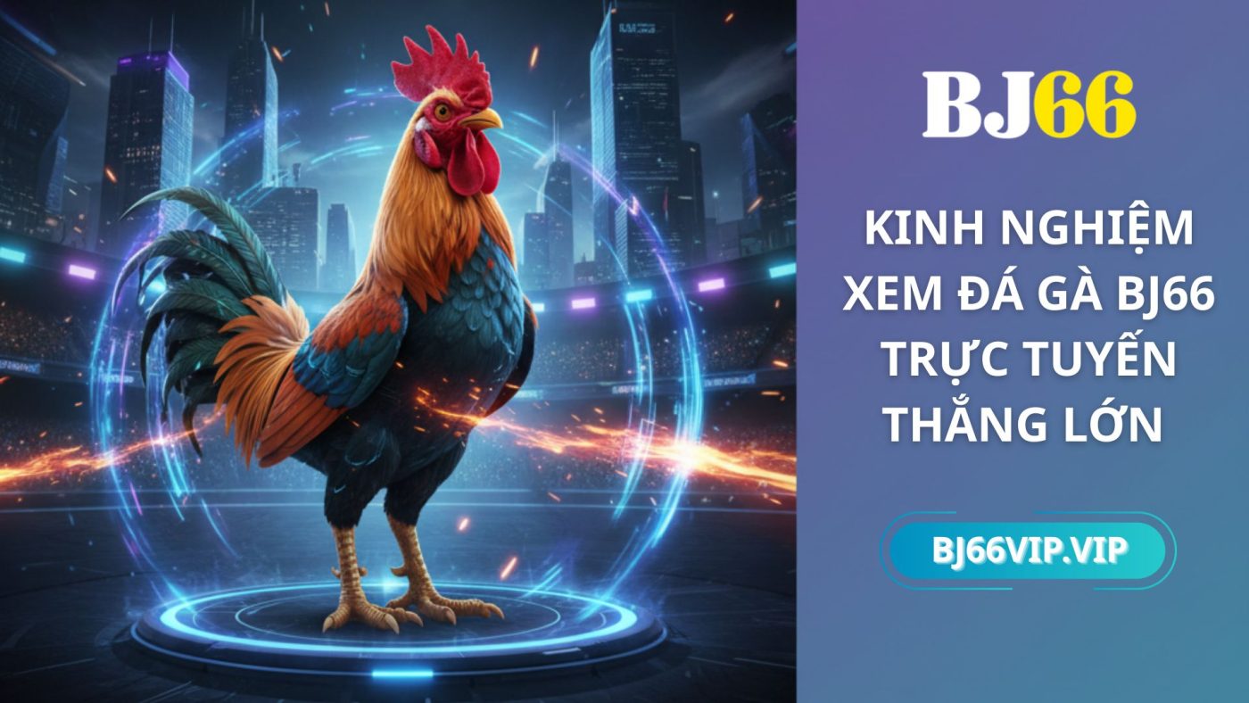 kinh nghiệm xem đá gà bj66
