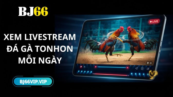 xem livestream đá gà tonhon
